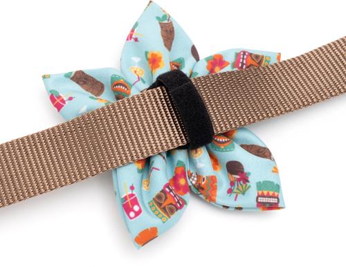 Show full view: The Worthy Dog Tiki Time Flower Dog & Cat Collar Accessory, Blue, Large slide 4 of 4