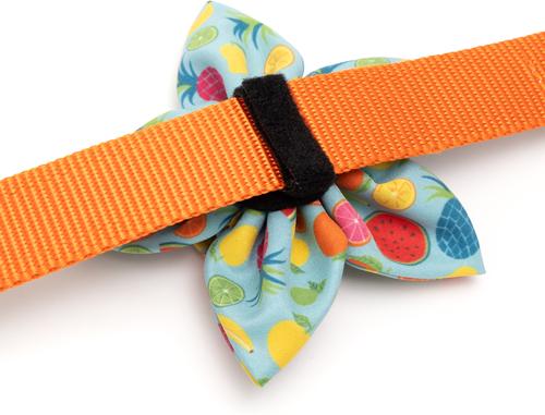 Show full view: The Worthy Dog Tutti Frutti Flower Dog & Cat Collar Accessory, Blue, Large slide 5 of 6
