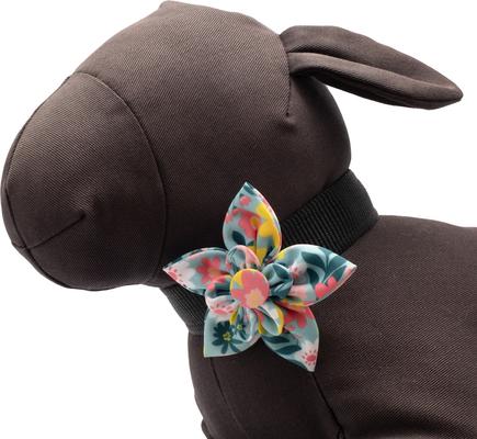 Show full view: The Worthy Dog Spring Bouquet Flower Dog & Cat Collar Accessory, Blue, Small slide 2 of 3