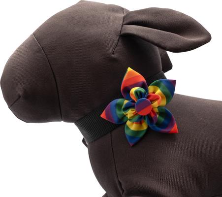 Show full view: The Worthy Dog Rainbow Flower Dog & Cat Collar Accessory, Multicolored, Large slide 2 of 3