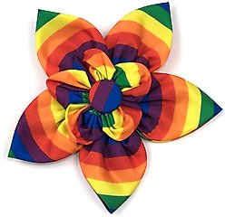 The Worthy Dog Rainbow Flower Dog & Cat Collar Accessory, Multicolored, Small
