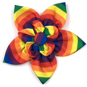 The Worthy Dog Rainbow Flower Dog & Cat Collar Accessory, Multicolored, Large