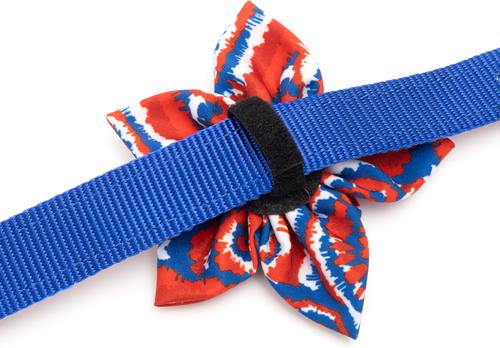 Show full view: The Worthy Dog Kaleidoscope Flower Dog & Cat Collar Accessory, Red/White/Blue, Large slide 4 of 4