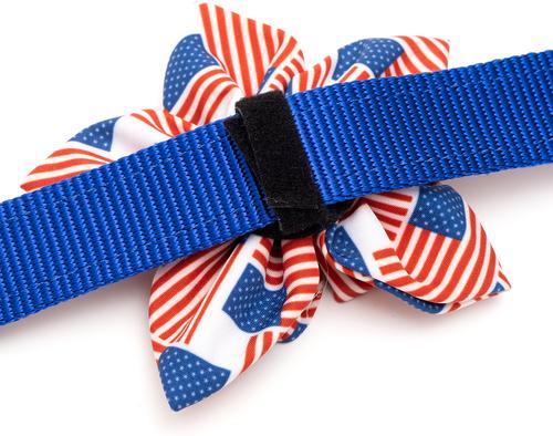 Show full view: The Worthy Dog Patchwork Flag Flower Dog & Cat Collar Accessory, Red/White/Blue, Small slide 3 of 3