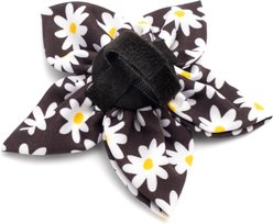 The Worthy Dog Lazy Daisy Flower Dog & Cat Collar Accessory, Black, Large slide 2 of 4
