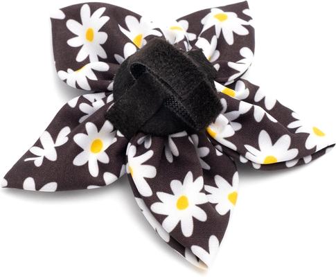 Show full view: The Worthy Dog Lazy Daisy Flower Dog & Cat Collar Accessory, Black, Small slide 4 of 4