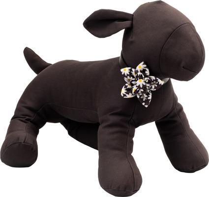 Show full view: The Worthy Dog Lazy Daisy Flower Dog & Cat Collar Accessory, Black, Small slide 3 of 4