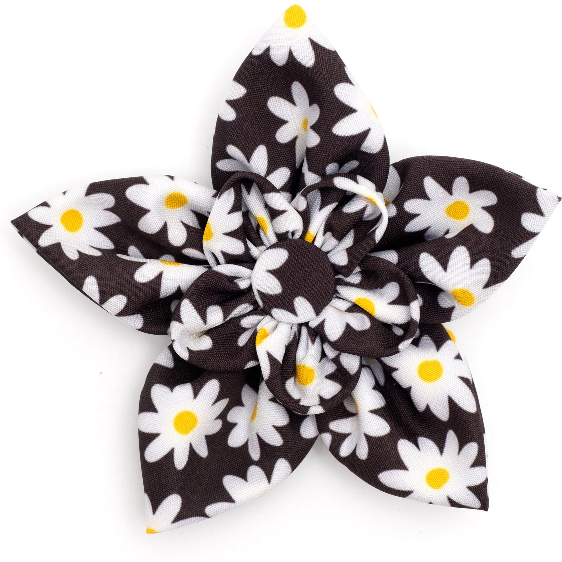 The Worthy Dog Lazy Daisy Flower Dog & Cat Collar Accessory, Black, Large