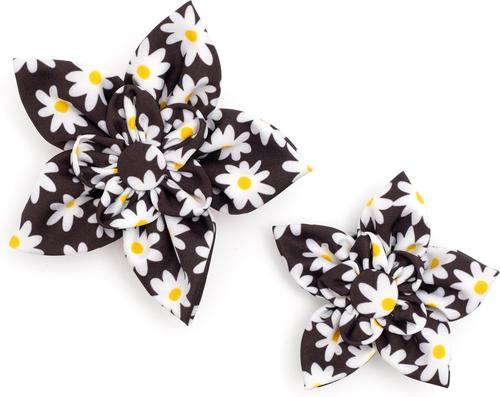 Show full view: The Worthy Dog Lazy Daisy Flower Dog & Cat Collar Accessory, Black, Small slide 2 of 4