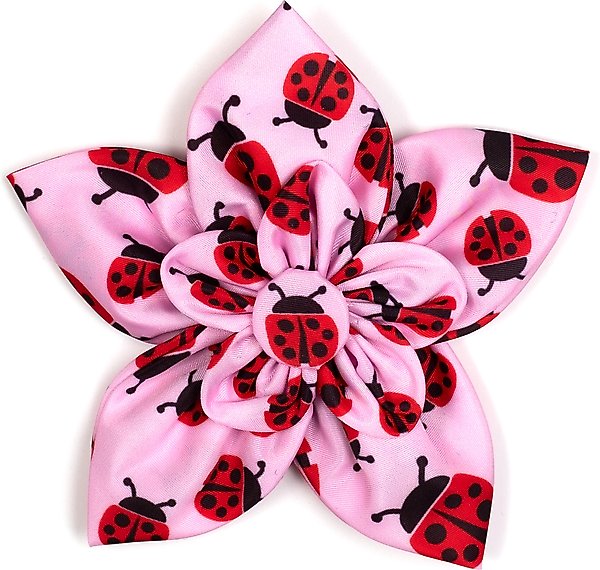 The Worthy Dog Butterflies Flower Dog & Cat Collar Accessory, Pale Blue