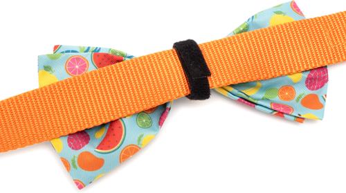Show full view: The Worthy Dog Tutti Frutti Dog Bow Tie, Blue, Small slide 6 of 6