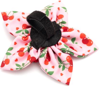 Show full view: The Worthy Dog Cherries Jubilee Flower Dog & Cat Collar Accessory, Pink, Large slide 4 of 4