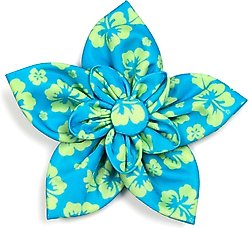 The Worthy Dog Aloha Flower Dog & Cat Collar Accessory, Turquoise, Large