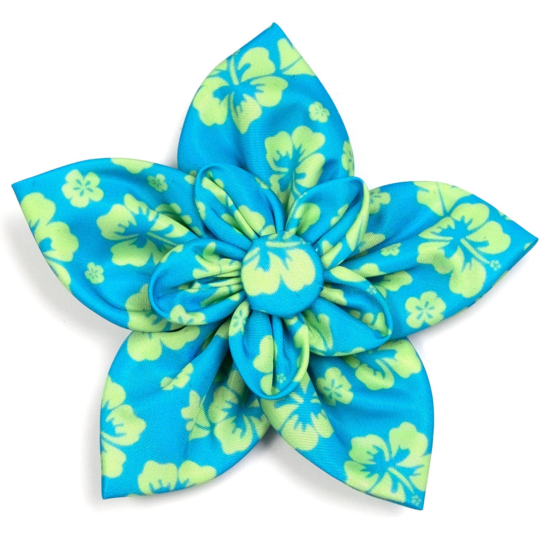 The Worthy Dog Aloha Flower Dog & Cat Collar Accessory, Turquoise, Large