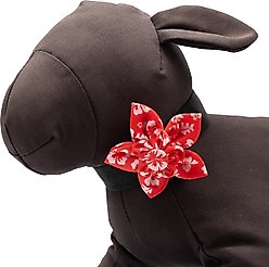 The Worthy Dog Aloha Flower Dog & Cat Collar Accessory, Coral, Small slide 2 of 3