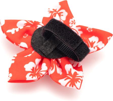 Show full view: The Worthy Dog Aloha Flower Dog & Cat Collar Accessory, Coral, Large slide 3 of 3