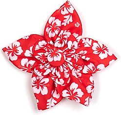 The Worthy Dog Aloha Flower Dog & Cat Collar Accessory, Coral, Small