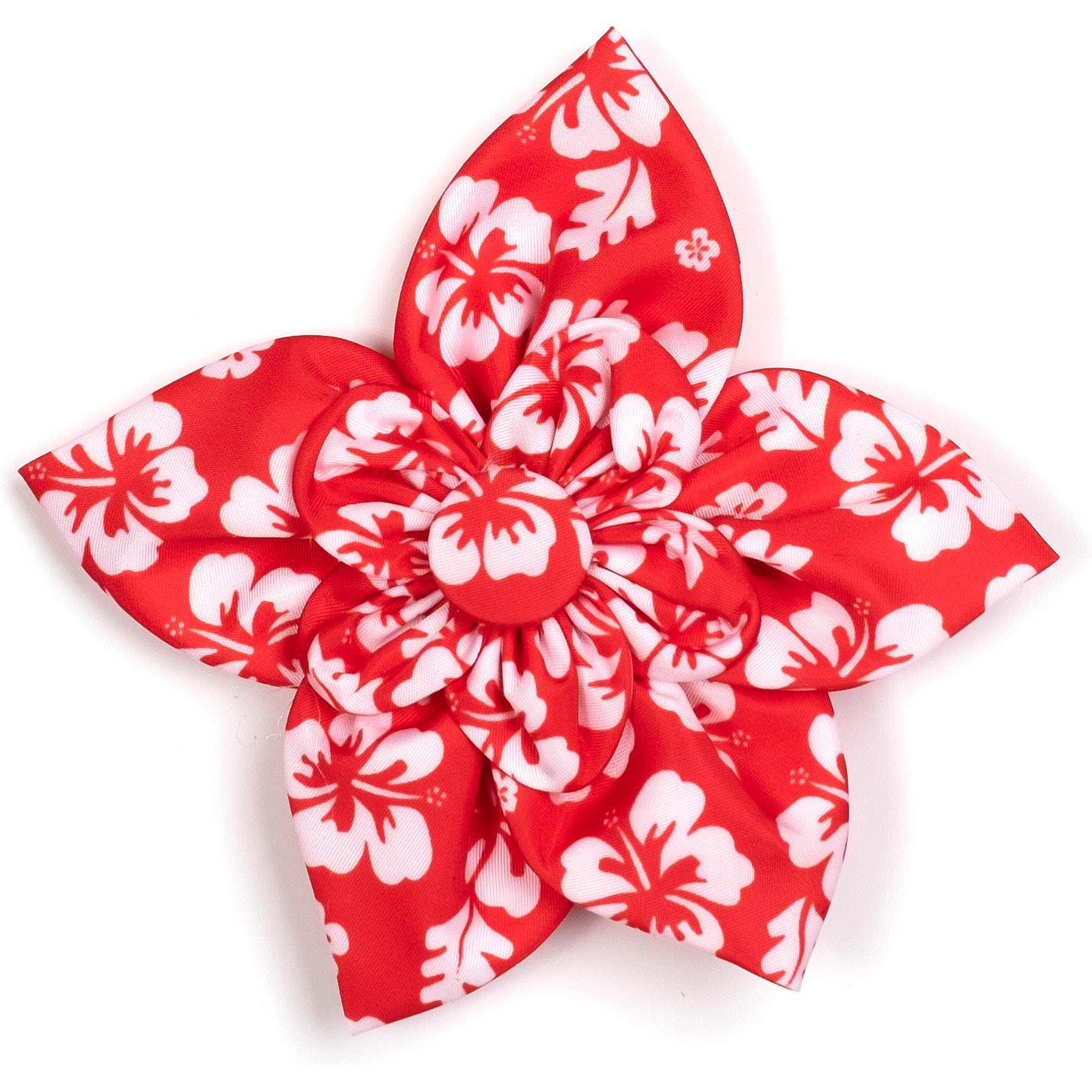 The Worthy Dog Aloha Flower Dog & Cat Collar Accessory, Coral, Large