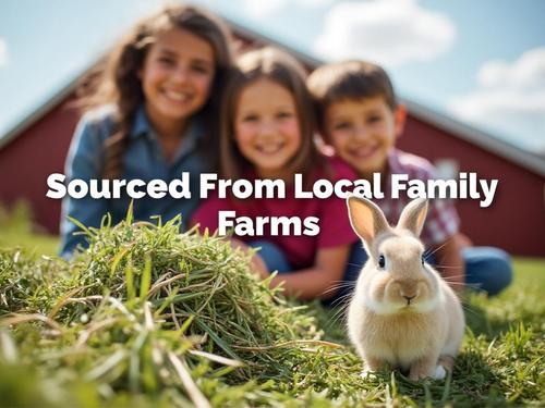 Show full view: Blue Mountain Hay High Altitude Timothy Hay Easy Flake Box Horse Feed, 50-lb slide 6 of 8