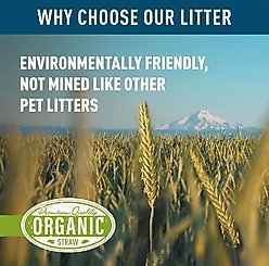 Blue Mountain Hay Organic Wheat Straw Small Pet Litter, 20-lb slide 2 of 7