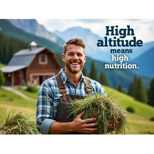Blue Mountain Hay Small Animal Food High Altitude Organic Oat Hay Small Animal Food, 24-oz