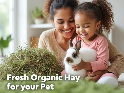 Show full view: Blue Mountain Hay High Altitude Organic Alfalfa Hay Easy Flake Box Horse Feed, 50-lb slide 6 of 9