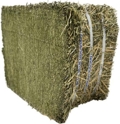 Show full view: Blue Mountain Hay High Altitude Organic Alfalfa Hay Easy Flake Box Horse Feed, 50-lb slide 5 of 9