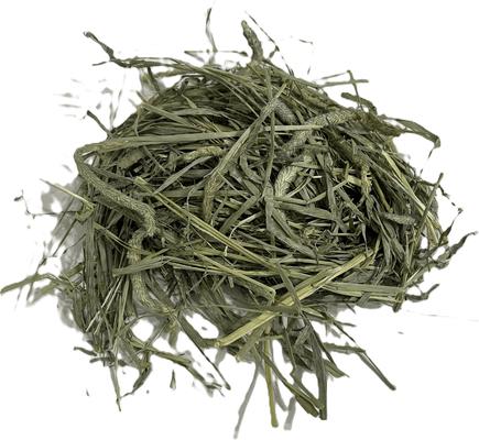 Show full view: Blue Mountain Hay High Altitude Timothy Hay Easy Flake Box Horse Feed, 50-lb slide 2 of 8