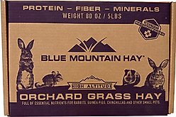 Blue Mountain Hay Small Animal Food High Altitude Orchard Grass Hay Small Animal Food, 5-lb