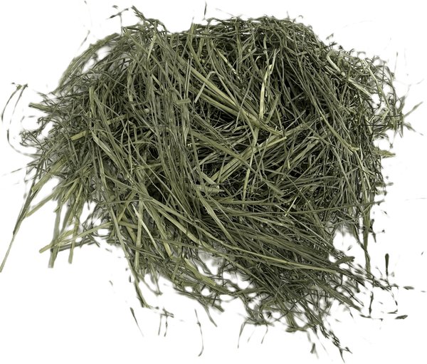 BLUE MOUNTAIN HAY Small Animal Food High Altitude Teff Grass Hay Small ...