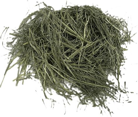 Show full view: Blue Mountain Hay High Altitude Teff Grass Hay Easy Flake Box Horse Feed, 50-lb slide 2 of 8