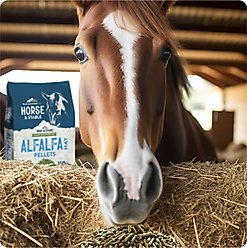 Blue Mountain Hay High Altitude Alfalfa Hay Pellets Horse Feed, 40-lb slide 2 of 5