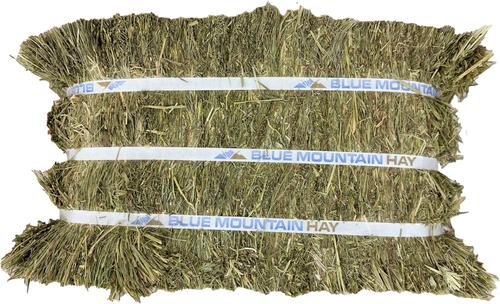 Show full view: Blue Mountain Hay High Altitude Orchard Grass Hay Easy Flake Box Horse Feed, 50-lb slide 3 of 8