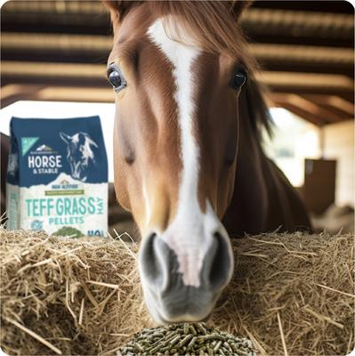 Show full view: Blue Mountain Hay High Altitude Teff Grass Hay Pellets Horse Feed, 40-lb slide 3 of 5