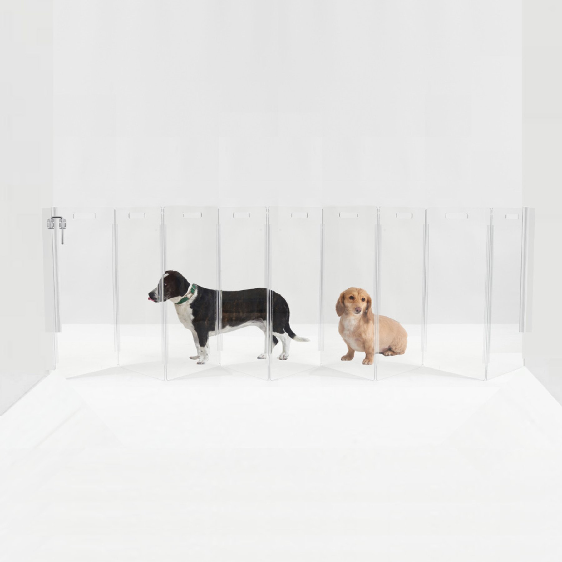 Hiddin Clear Wall Mounted Tall Zig Zag Dog Gate, Clear, Silver, 10-Panel