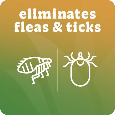 Show full view: Espree Aloe Vera Flea & Tick Dog Shampoo, 1-gal bottle slide 4 of 5