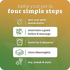 Espree Aloe Vera Flea & Tick Dog Shampoo, 1-gal bottle slide 2 of 5