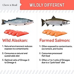 Chew + Heal MSC-Certified Pure Wild-Caught Alaskan Salmon Oil Skin & Coat Supplement for Dogs, 8-fl oz bottle slide 2 of 9