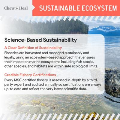 Show full view: Chew + Heal MSC-Certified Pure Wild-Caught Alaskan Salmon Oil Skin & Coat Supplement for Dogs, 8-fl oz bottle slide 4 of 11