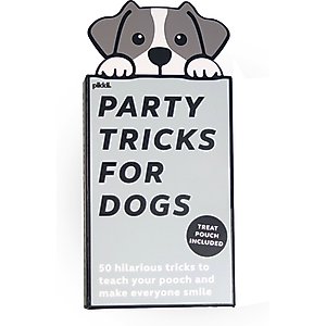 Muddy Mat Mesh Quick-Dry Dog Door Mat