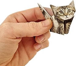 Pikkii Paper Cats slide 2 of 4