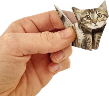 Show full view: Pikkii Paper Cats slide 4 of 5