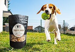 Waveland Paws Beef Liver Freeze-Dried Dog Treats, 3-oz bag slide 2 of 5