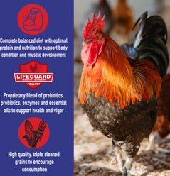 Kalmbach Feeds Game Time Elite 18% Gamecock Conditioner Chicken Feed, 50-lb bag slide 2 of 4