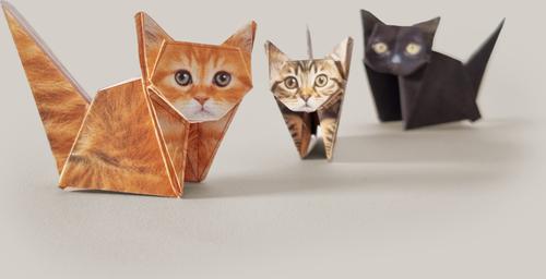 Show full view: Pikkii Paper Cats slide 3 of 5