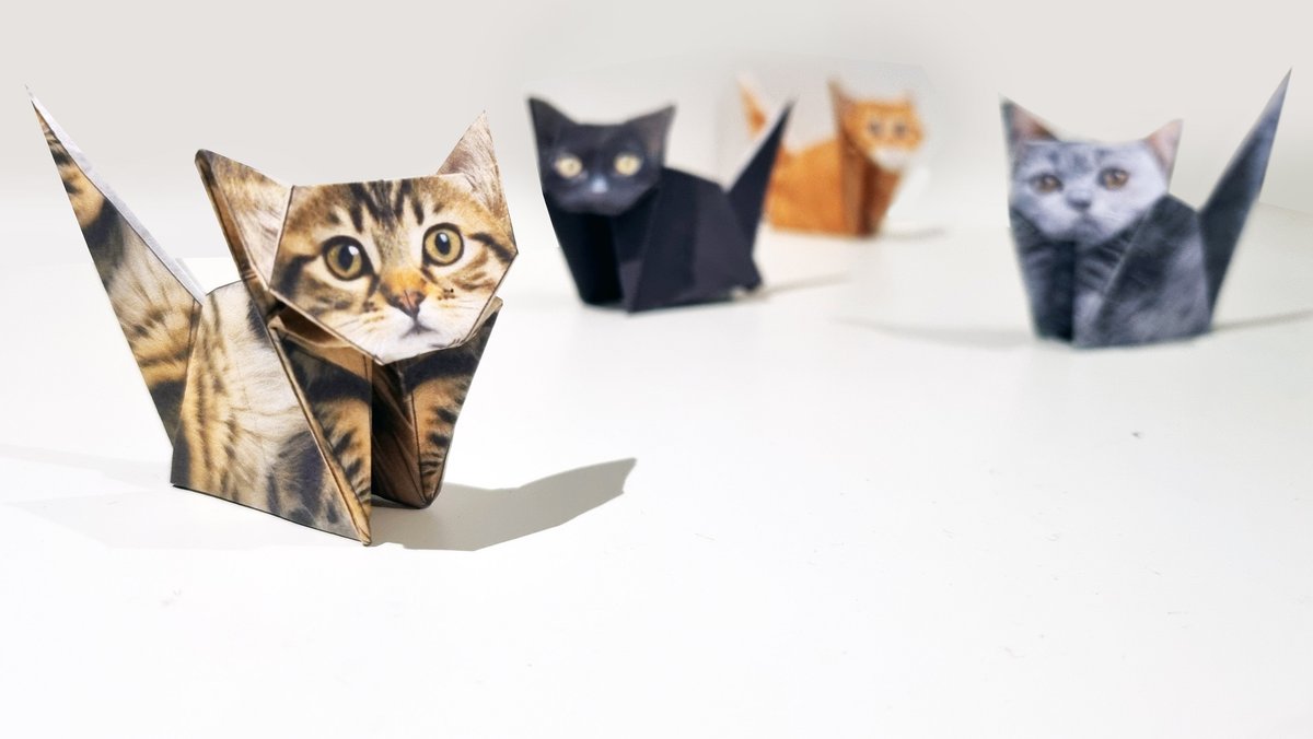 Pikkii Paper Cats