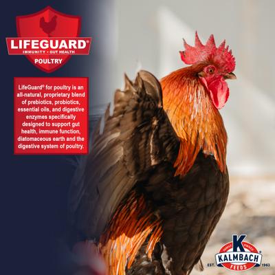 Show full view: Kalmbach Feeds Game Time Elite 18% Gamecock Conditioner Chicken Feed, 50-lb bag slide 4 of 5