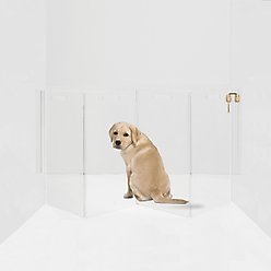 Hiddin Clear Wall Mounted Tall Zig Zag Dog Gate, Clear, Gold, 4-Panel
