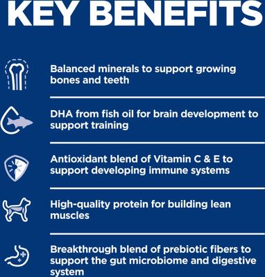 Show full view: Hill's Science Diet Puppy Small Bites Chicken & Brown Rice Recipe Dry Dog Food, 12.5-lb bag slide 7 of 13