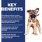 Show in main carousel: Hill's Science Diet Puppy Large Breed Lamb Meal & Brown Rice Recipe Dry Dog Food, 30-lb bag slide 4 of 13
